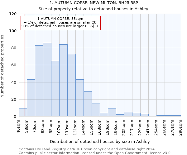 1, AUTUMN COPSE, NEW MILTON, BH25 5SP: Size of property relative to detached houses in Ashley