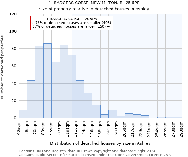 1, BADGERS COPSE, NEW MILTON, BH25 5PE: Size of property relative to detached houses in Ashley