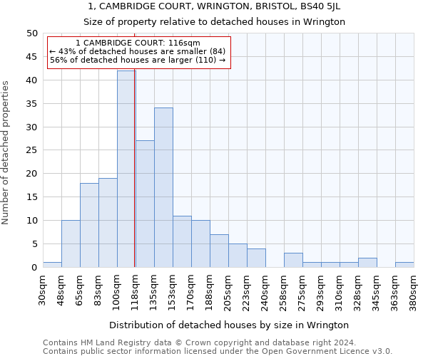 1, CAMBRIDGE COURT, WRINGTON, BRISTOL, BS40 5JL: Size of property relative to detached houses in Wrington