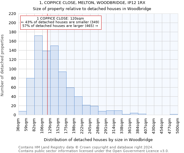 1, COPPICE CLOSE, MELTON, WOODBRIDGE, IP12 1RX: Size of property relative to detached houses in Woodbridge