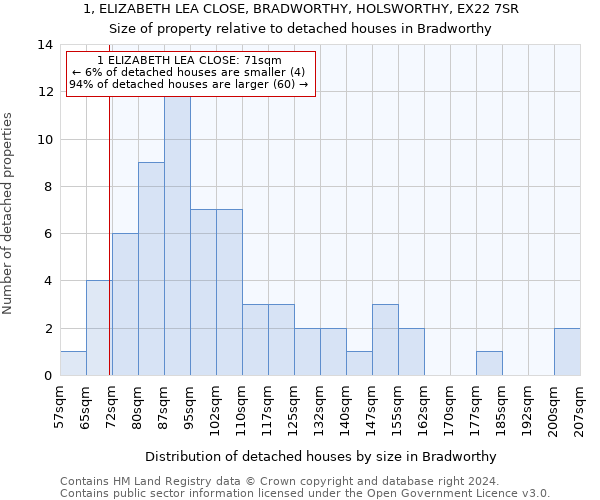 1, ELIZABETH LEA CLOSE, BRADWORTHY, HOLSWORTHY, EX22 7SR: Size of property relative to detached houses in Bradworthy