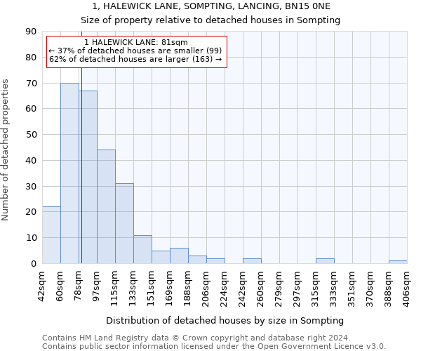 1, HALEWICK LANE, SOMPTING, LANCING, BN15 0NE: Size of property relative to detached houses in Sompting