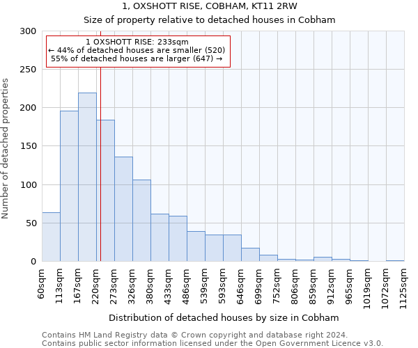 1, OXSHOTT RISE, COBHAM, KT11 2RW: Size of property relative to detached houses in Cobham