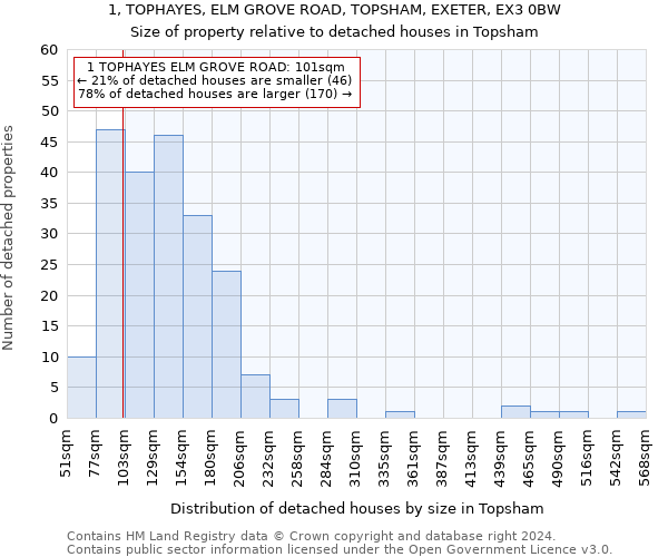 1, TOPHAYES, ELM GROVE ROAD, TOPSHAM, EXETER, EX3 0BW: Size of property relative to detached houses in Topsham