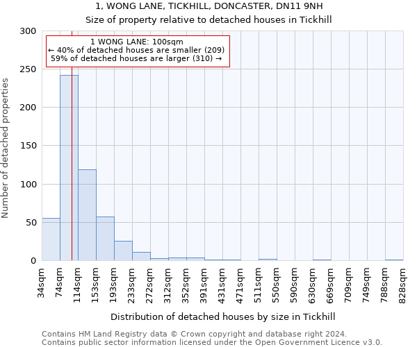 1, WONG LANE, TICKHILL, DONCASTER, DN11 9NH: Size of property relative to detached houses in Tickhill