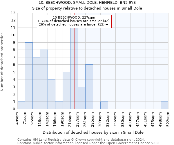 10, BEECHWOOD, SMALL DOLE, HENFIELD, BN5 9YS: Size of property relative to detached houses in Small Dole