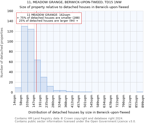 11, MEADOW GRANGE, BERWICK-UPON-TWEED, TD15 1NW: Size of property relative to detached houses in Berwick-upon-Tweed
