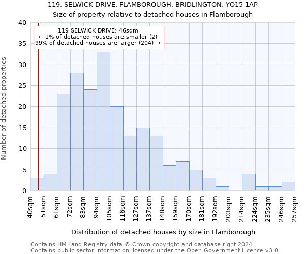 119, SELWICK DRIVE, FLAMBOROUGH, BRIDLINGTON, YO15 1AP: Size of property relative to detached houses in Flamborough