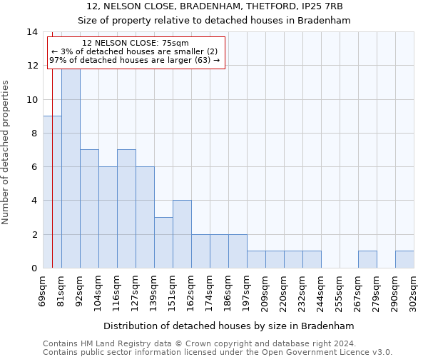12, NELSON CLOSE, BRADENHAM, THETFORD, IP25 7RB: Size of property relative to detached houses in Bradenham
