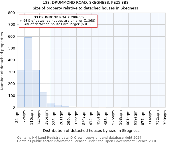 133, DRUMMOND ROAD, SKEGNESS, PE25 3BS: Size of property relative to detached houses in Skegness