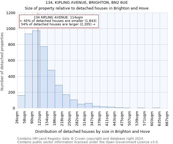 134, KIPLING AVENUE, BRIGHTON, BN2 6UE: Size of property relative to detached houses in Brighton and Hove