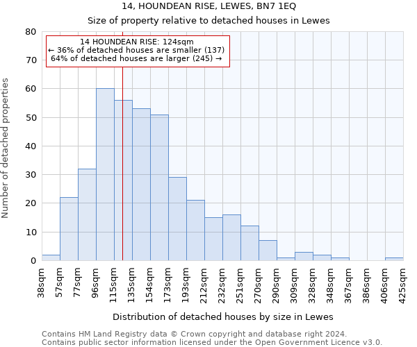 14, HOUNDEAN RISE, LEWES, BN7 1EQ: Size of property relative to detached houses in Lewes