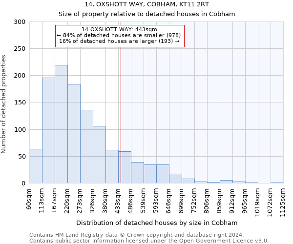 14, OXSHOTT WAY, COBHAM, KT11 2RT: Size of property relative to detached houses in Cobham