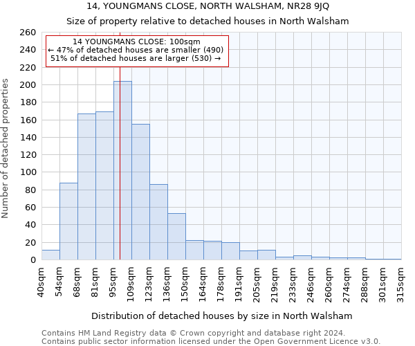 14, YOUNGMANS CLOSE, NORTH WALSHAM, NR28 9JQ: Size of property relative to detached houses in North Walsham