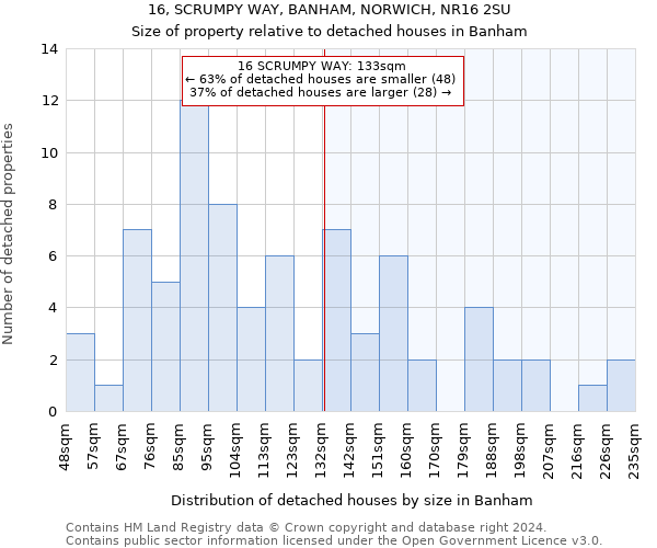 16, SCRUMPY WAY, BANHAM, NORWICH, NR16 2SU: Size of property relative to detached houses in Banham