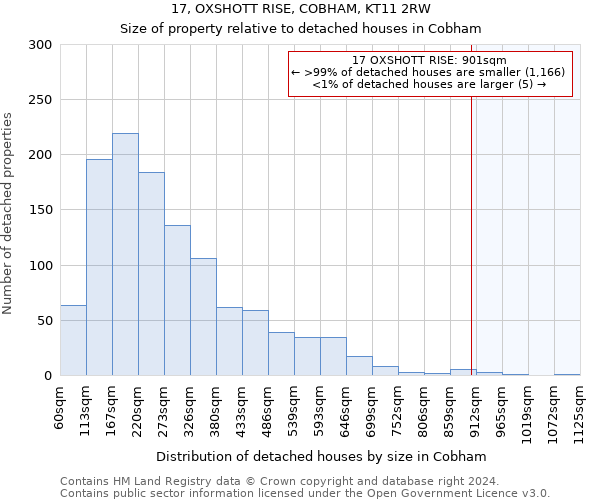 17, OXSHOTT RISE, COBHAM, KT11 2RW: Size of property relative to detached houses in Cobham