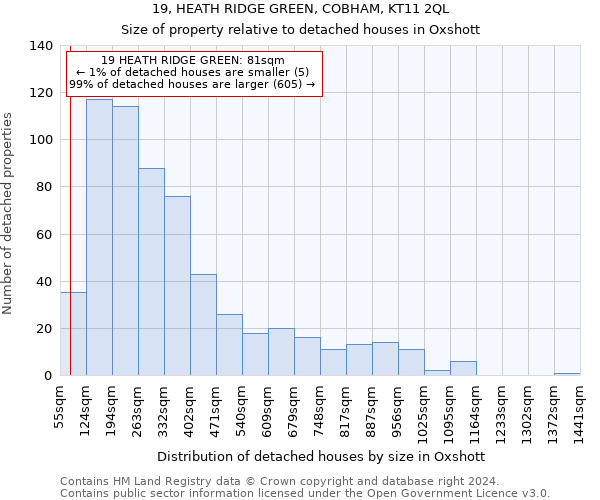 19, HEATH RIDGE GREEN, COBHAM, KT11 2QL: Size of property relative to detached houses in Oxshott