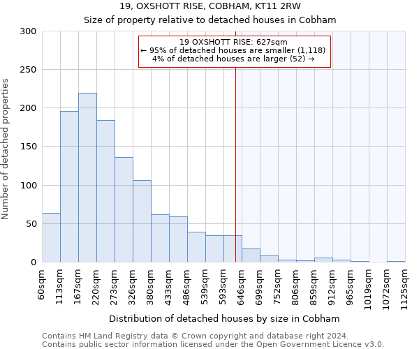 19, OXSHOTT RISE, COBHAM, KT11 2RW: Size of property relative to detached houses in Cobham