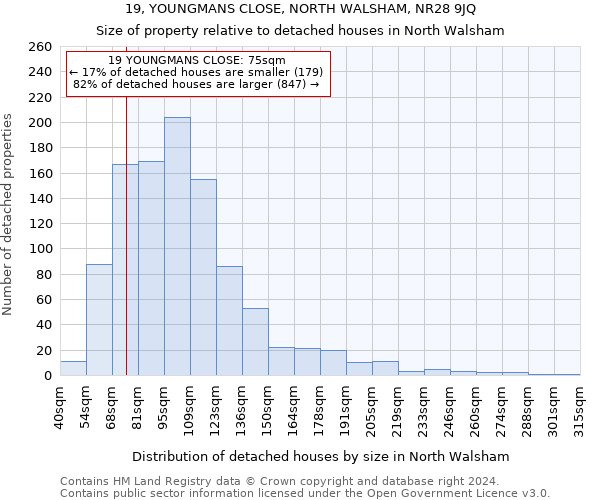 19, YOUNGMANS CLOSE, NORTH WALSHAM, NR28 9JQ: Size of property relative to detached houses in North Walsham