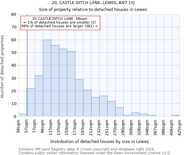 20, CASTLE DITCH LANE, LEWES, BN7 1YJ: Size of property relative to detached houses in Lewes