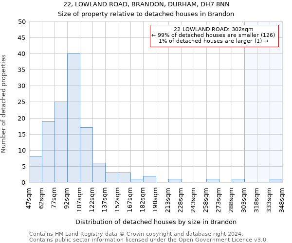 22, LOWLAND ROAD, BRANDON, DURHAM, DH7 8NN: Size of property relative to detached houses in Brandon