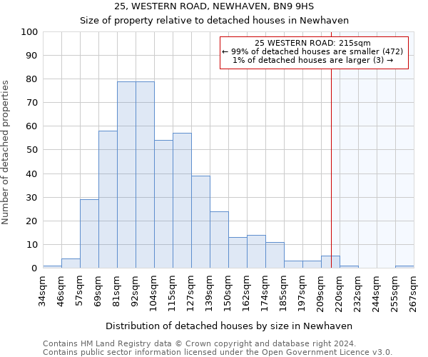 25, WESTERN ROAD, NEWHAVEN, BN9 9HS: Size of property relative to detached houses in Newhaven