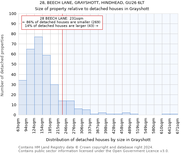 28, BEECH LANE, GRAYSHOTT, HINDHEAD, GU26 6LT: Size of property relative to detached houses in Grayshott
