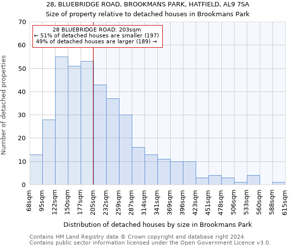 28, BLUEBRIDGE ROAD, BROOKMANS PARK, HATFIELD, AL9 7SA: Size of property relative to detached houses in Brookmans Park