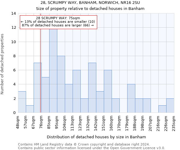 28, SCRUMPY WAY, BANHAM, NORWICH, NR16 2SU: Size of property relative to detached houses in Banham