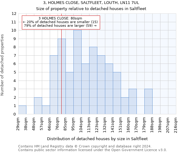 3, HOLMES CLOSE, SALTFLEET, LOUTH, LN11 7UL: Size of property relative to detached houses in Saltfleet