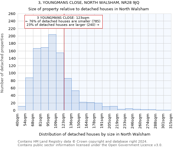 3, YOUNGMANS CLOSE, NORTH WALSHAM, NR28 9JQ: Size of property relative to detached houses in North Walsham