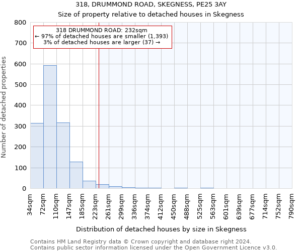 318, DRUMMOND ROAD, SKEGNESS, PE25 3AY: Size of property relative to detached houses in Skegness