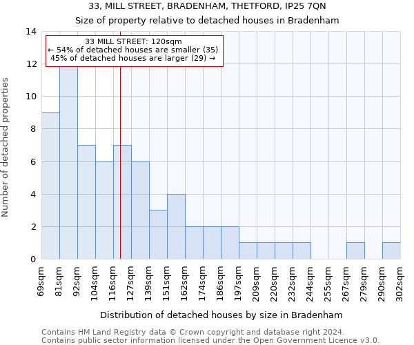 33, MILL STREET, BRADENHAM, THETFORD, IP25 7QN: Size of property relative to detached houses in Bradenham