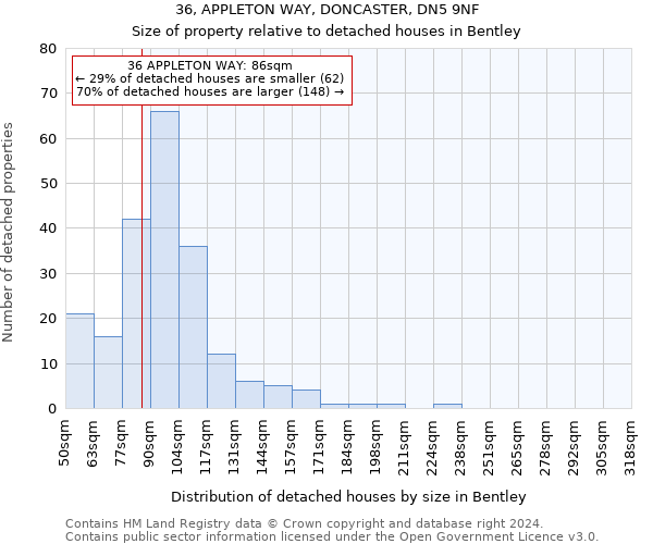 36, APPLETON WAY, DONCASTER, DN5 9NF: Size of property relative to detached houses in Bentley