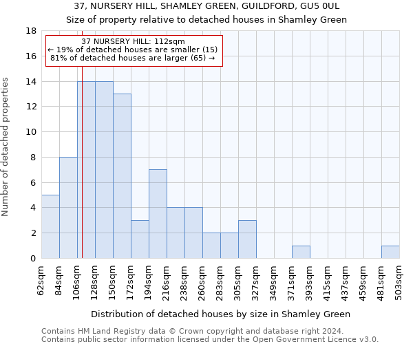 37, NURSERY HILL, SHAMLEY GREEN, GUILDFORD, GU5 0UL: Size of property relative to detached houses in Shamley Green