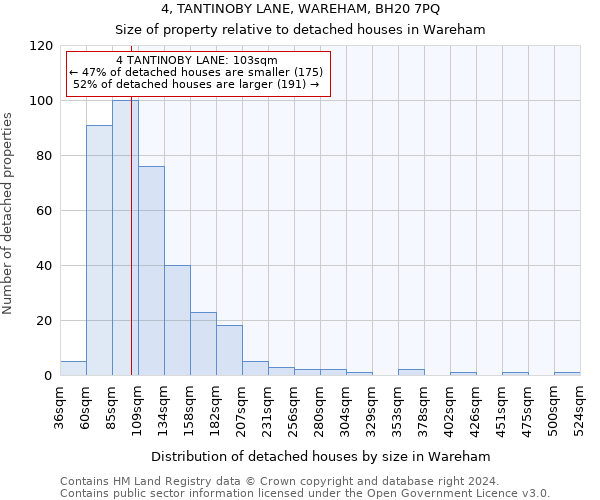 4, TANTINOBY LANE, WAREHAM, BH20 7PQ: Size of property relative to detached houses in Wareham