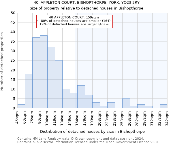40, APPLETON COURT, BISHOPTHORPE, YORK, YO23 2RY: Size of property relative to detached houses in Bishopthorpe