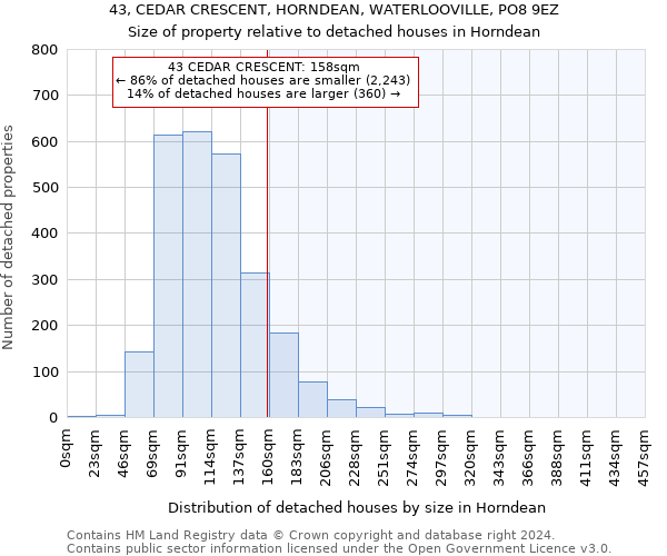 43, CEDAR CRESCENT, HORNDEAN, WATERLOOVILLE, PO8 9EZ: Size of property relative to detached houses in Horndean