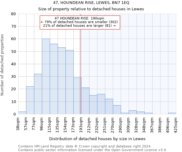 47, HOUNDEAN RISE, LEWES, BN7 1EQ: Size of property relative to detached houses in Lewes