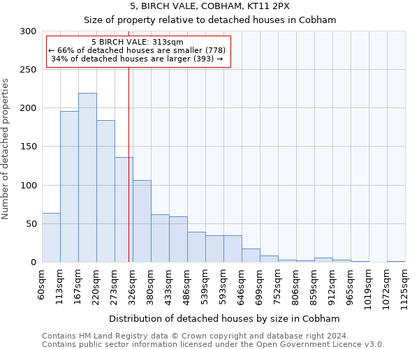 5, BIRCH VALE, COBHAM, KT11 2PX: Size of property relative to detached houses in Cobham