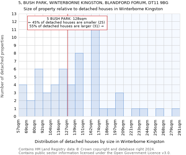 5, BUSH PARK, WINTERBORNE KINGSTON, BLANDFORD FORUM, DT11 9BG: Size of property relative to detached houses in Winterborne Kingston