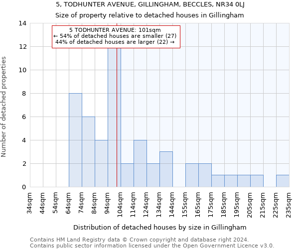 5, TODHUNTER AVENUE, GILLINGHAM, BECCLES, NR34 0LJ: Size of property relative to detached houses in Gillingham