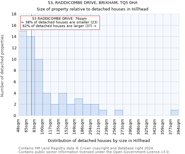 53, RADDICOMBE DRIVE, BRIXHAM, TQ5 0HA: Size of property relative to detached houses in Hillhead