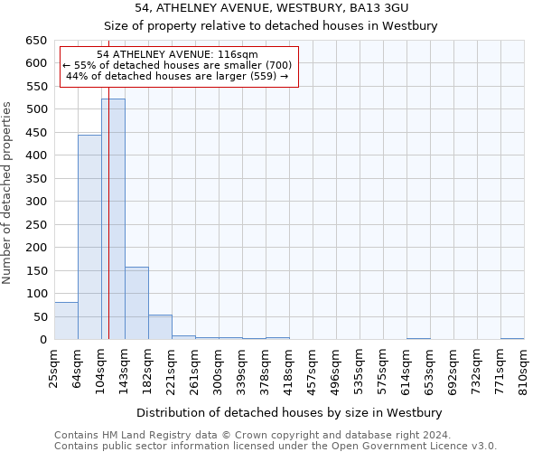 54, ATHELNEY AVENUE, WESTBURY, BA13 3GU: Size of property relative to detached houses in Westbury