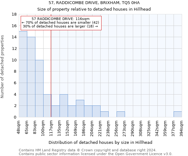57, RADDICOMBE DRIVE, BRIXHAM, TQ5 0HA: Size of property relative to detached houses in Hillhead