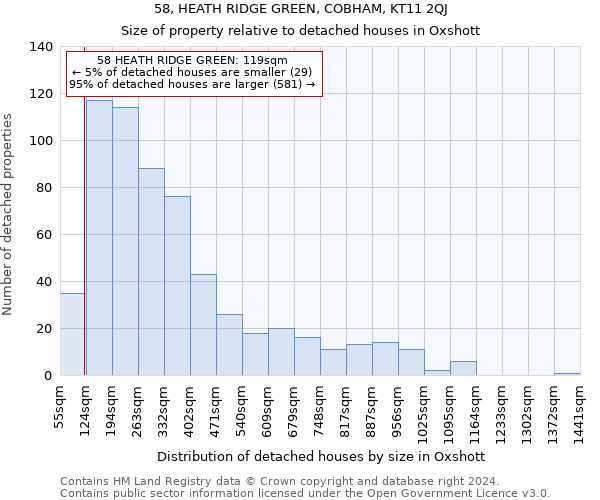 58, HEATH RIDGE GREEN, COBHAM, KT11 2QJ: Size of property relative to detached houses in Oxshott