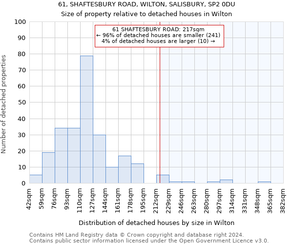 61, SHAFTESBURY ROAD, WILTON, SALISBURY, SP2 0DU: Size of property relative to detached houses in Wilton