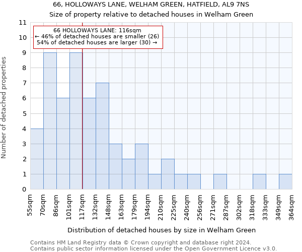 66, HOLLOWAYS LANE, WELHAM GREEN, HATFIELD, AL9 7NS: Size of property relative to detached houses in Welham Green