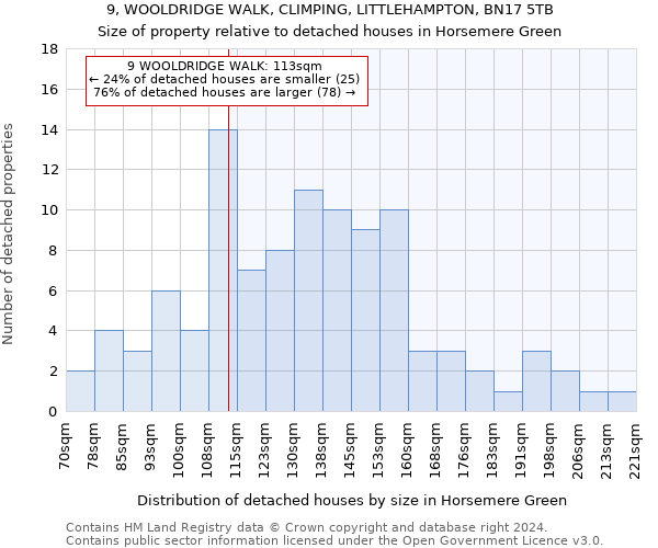 9, WOOLDRIDGE WALK, CLIMPING, LITTLEHAMPTON, BN17 5TB: Size of property relative to detached houses in Horsemere Green