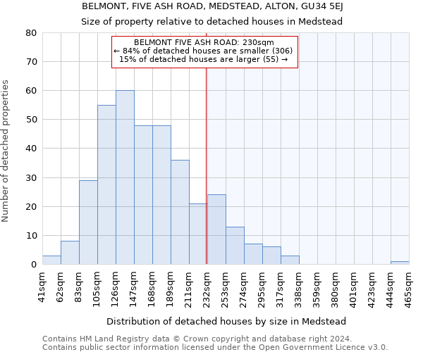 BELMONT, FIVE ASH ROAD, MEDSTEAD, ALTON, GU34 5EJ: Size of property relative to detached houses in Medstead